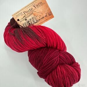 Simply Socks Yarn Company Poste DK Yarn 100% Superwash Merino Wool NAUGHTY reds